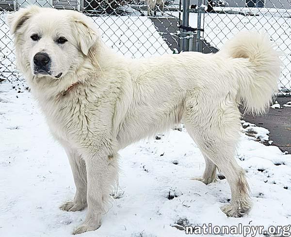 Tofu In Ky  thumbnail 2