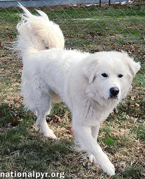 Tofu In Ky  thumbnail 3