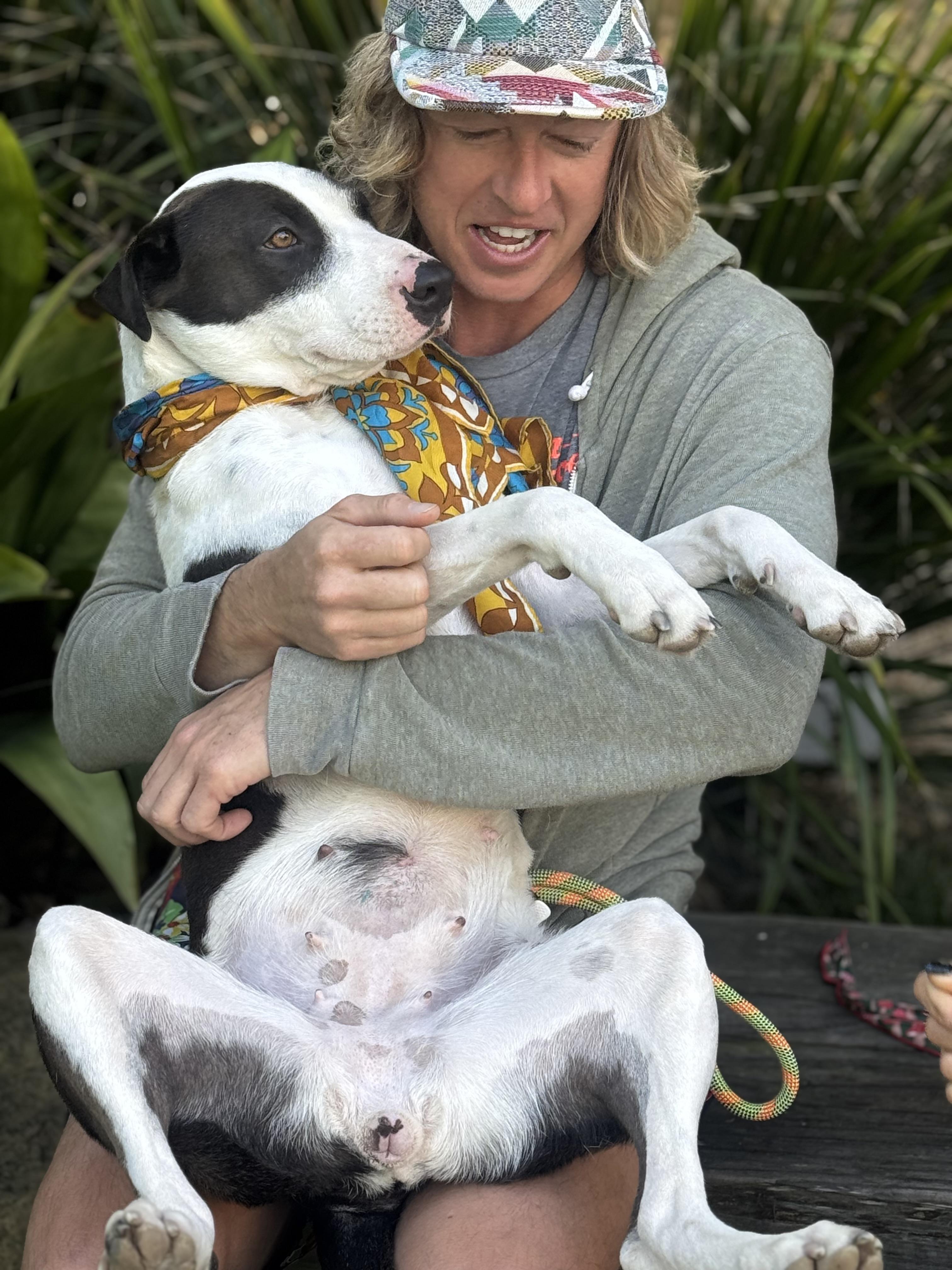 Enlarge bunny mellon is delight, a Adoptable mixed breed in Los Angeles, CA image 2/6