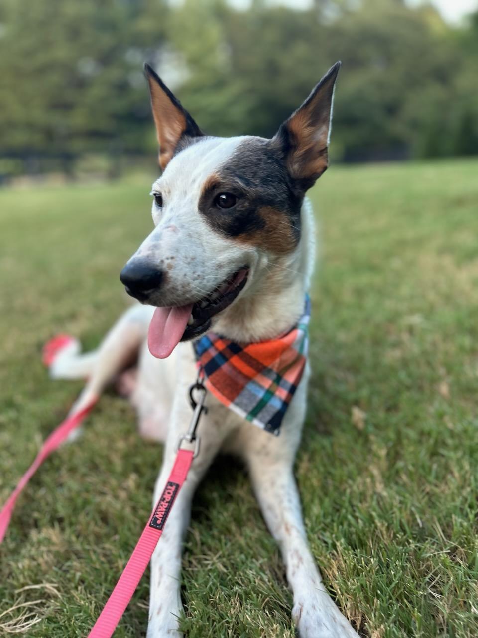 MOLLY