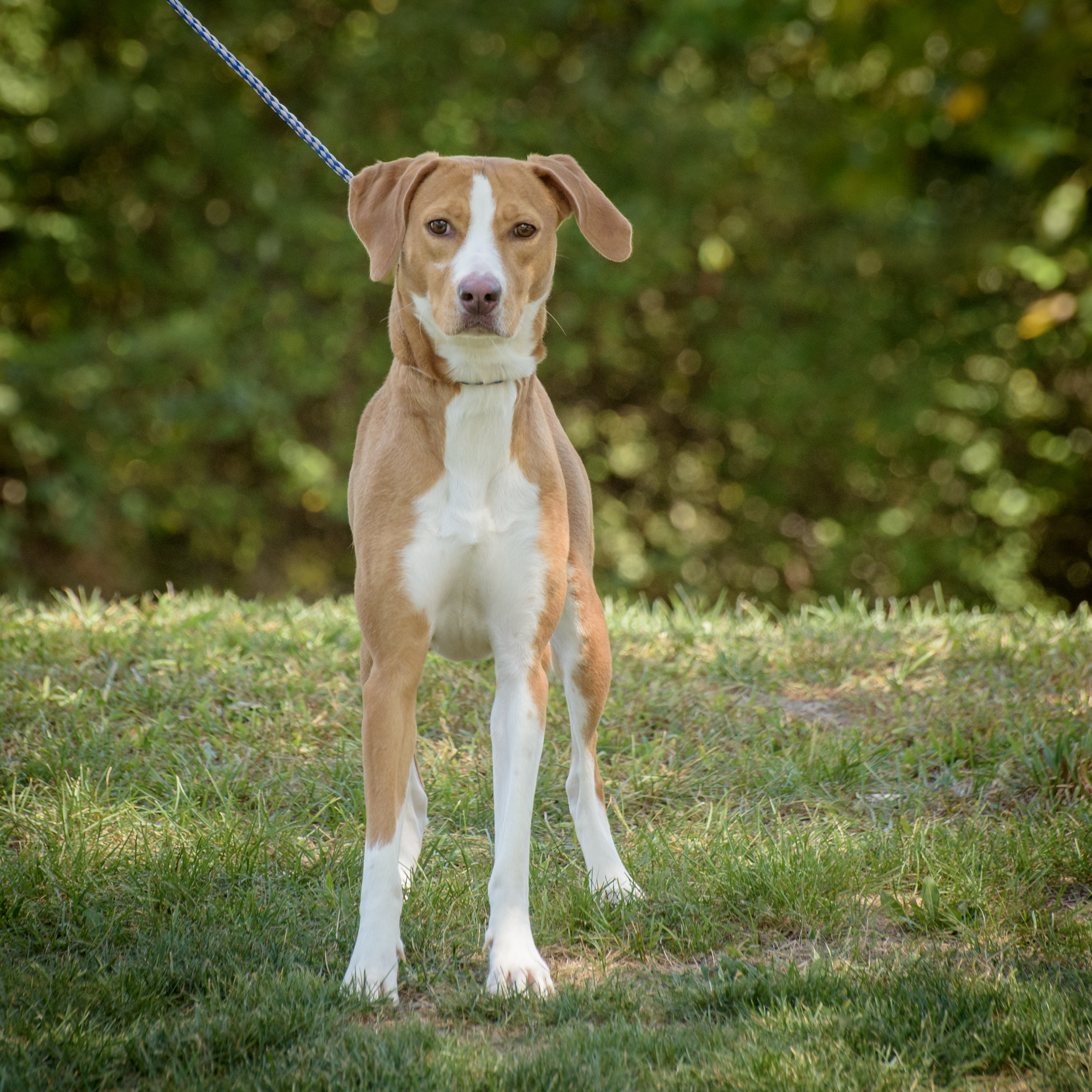 Butters - CTS2025 photo 2