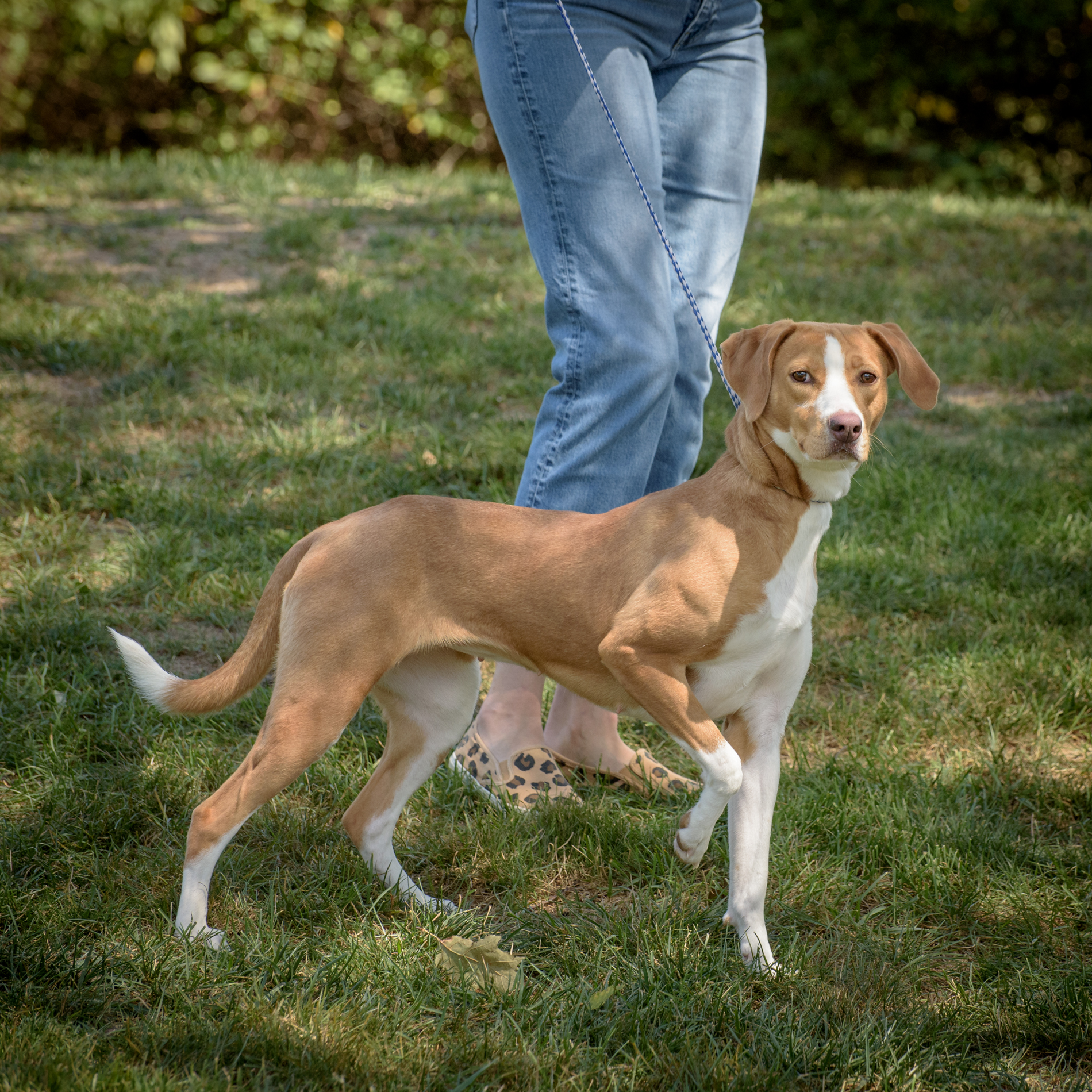 Butters - CTS2025 photo 3