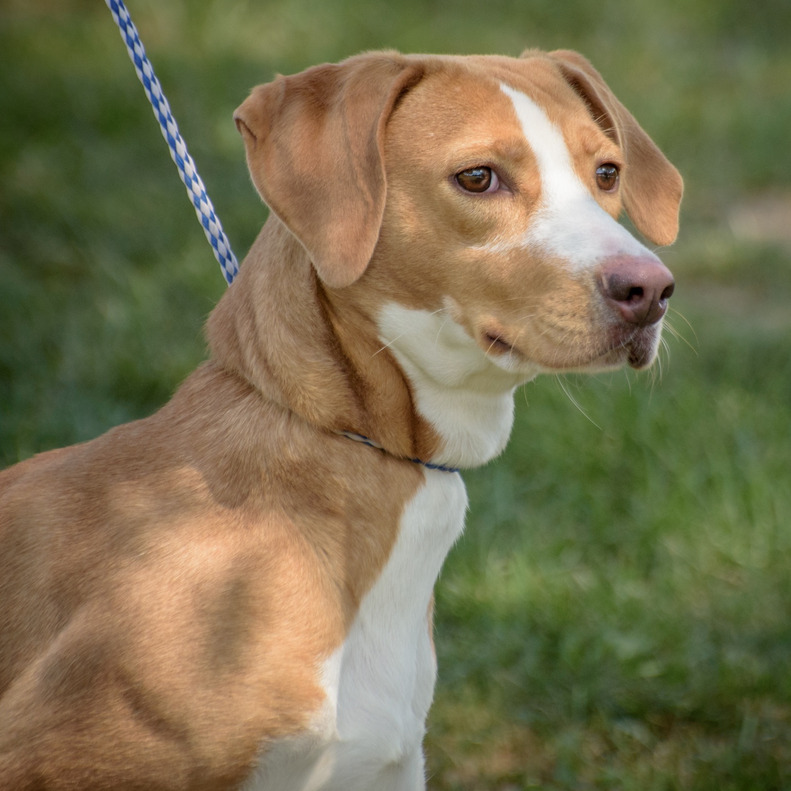 Butters - CTS2025 photo 4
