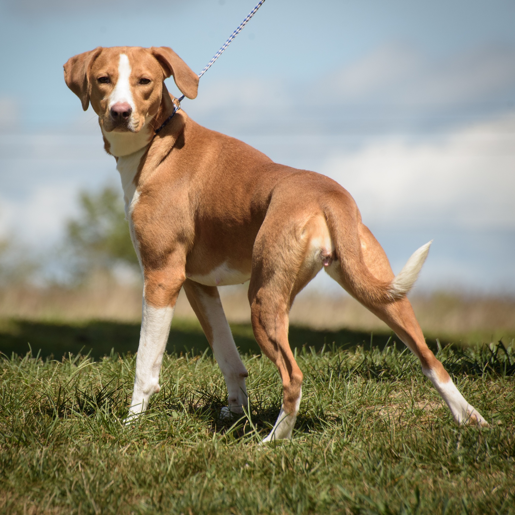 Butters - CTS2025 photo 5
