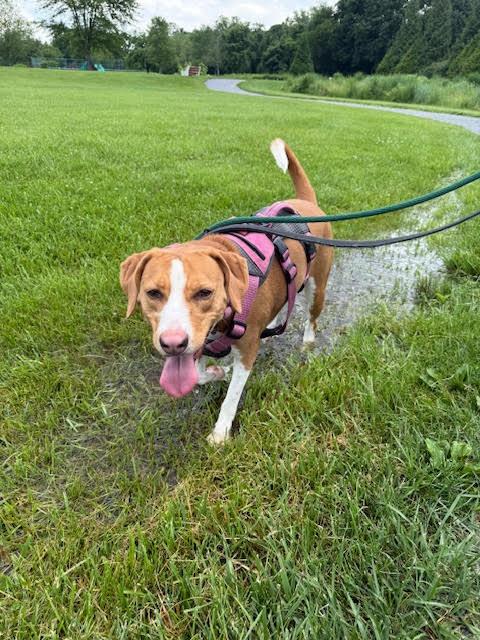 Butters - CTS2025 photo 1
