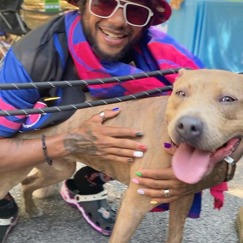 Billy Ray Cyrus, a Adoptable mixed breed in St. Louis, MO image 6/6