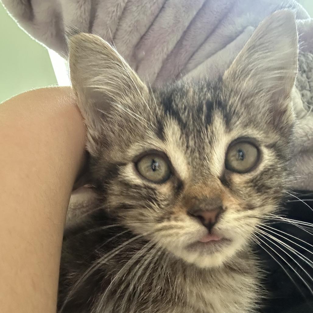 Avalanche Warning 21