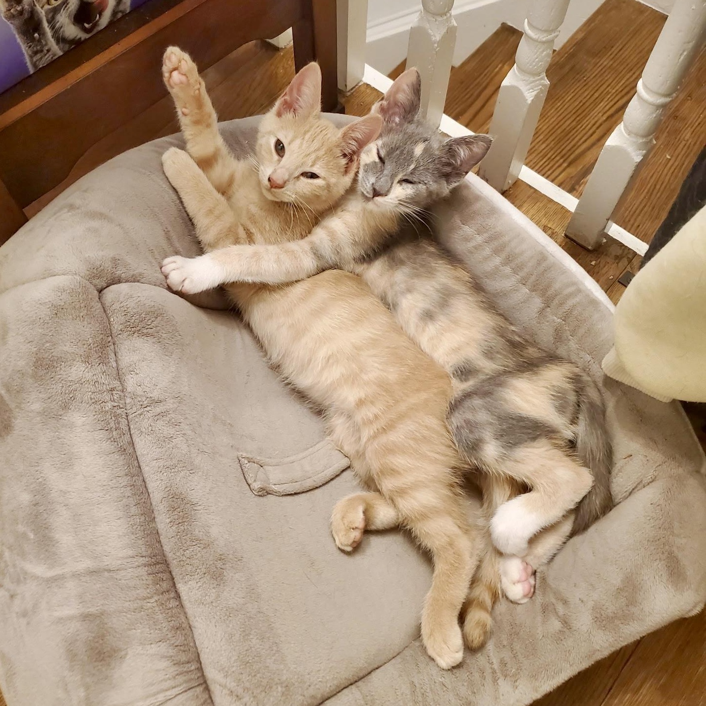 Sweet Potato Casserole