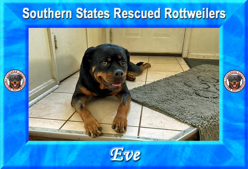 Eve photo