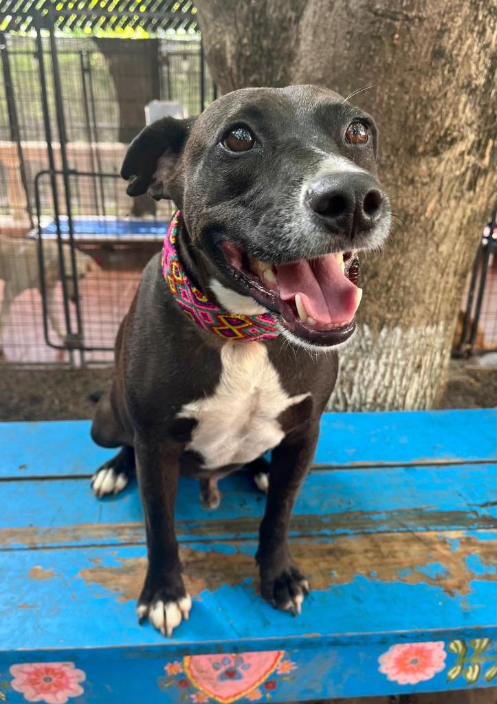 River — thumbnail 6