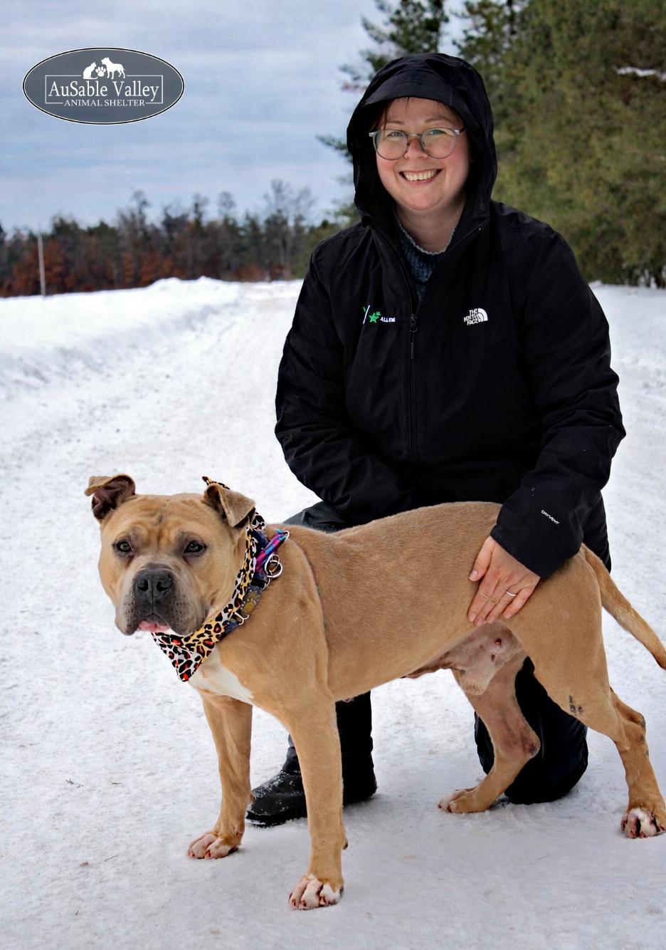 Enlarge Major, a Adoptable mixed breed in Grayling, MI image 6/6