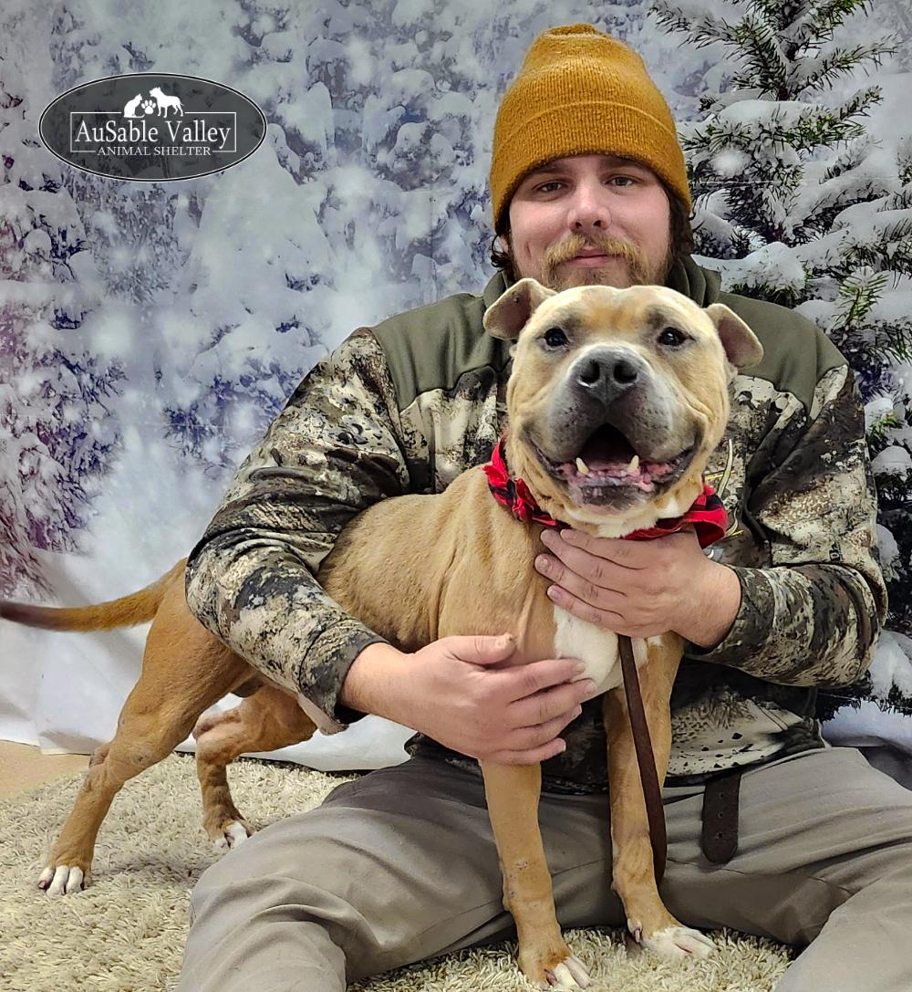 Major, a Adoptable mixed breed in Grayling, MI image 5/6