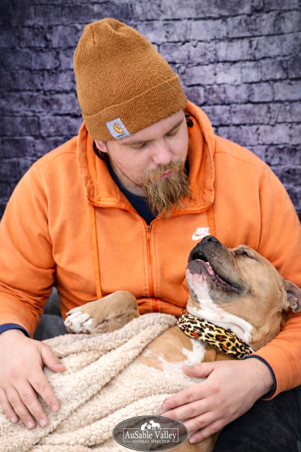 Enlarge Major, a Adoptable mixed breed in Grayling, MI image 3/6