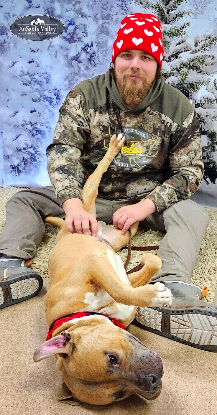 Enlarge Major, a Adoptable mixed breed in Grayling, MI image 5/6