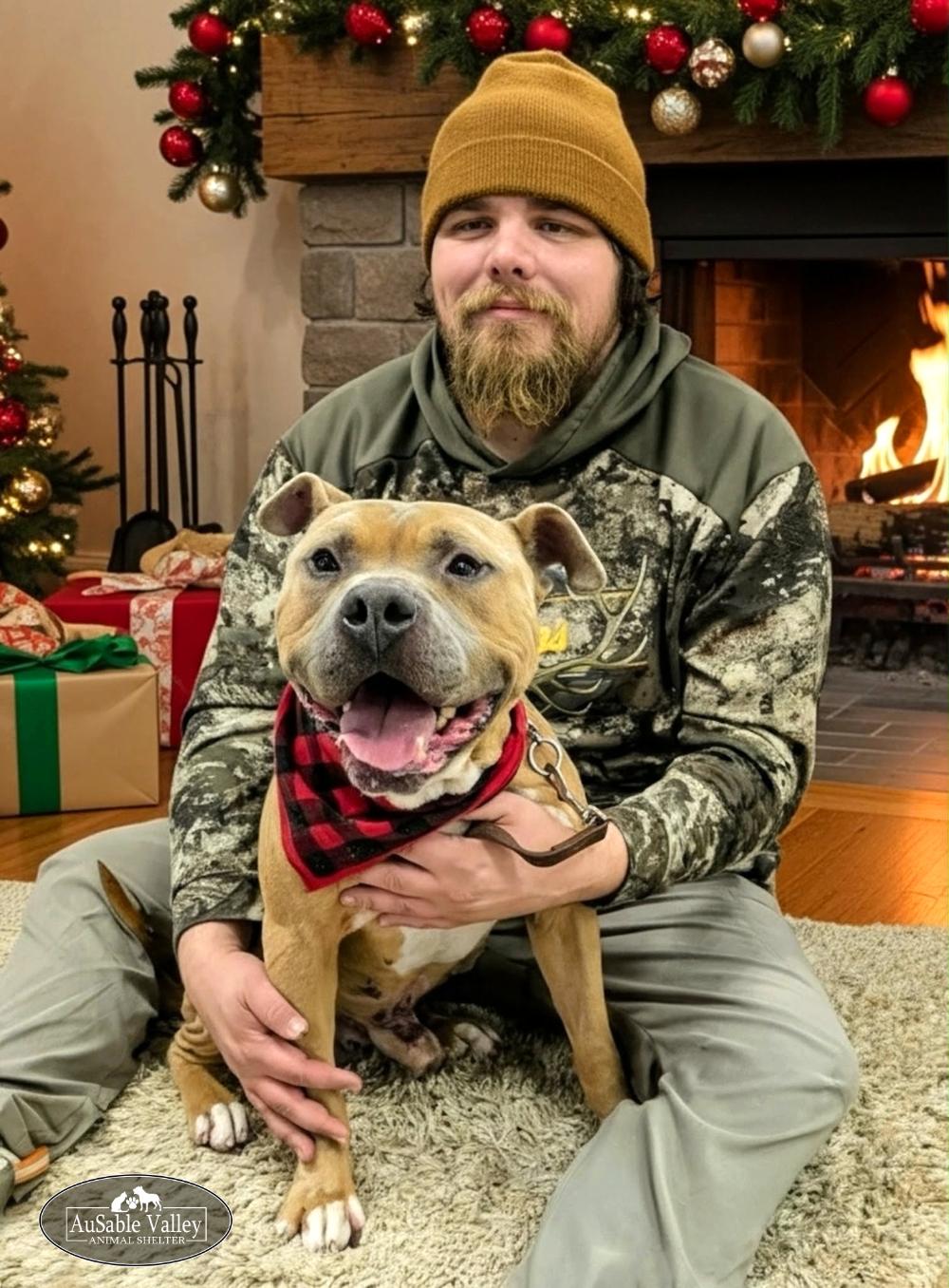 Major, a Adoptable mixed breed in Grayling, MI image 1/6