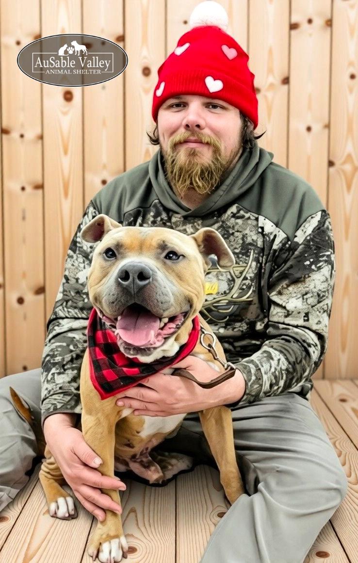 Major, Adoptable, Adult Male Mixed Breed.