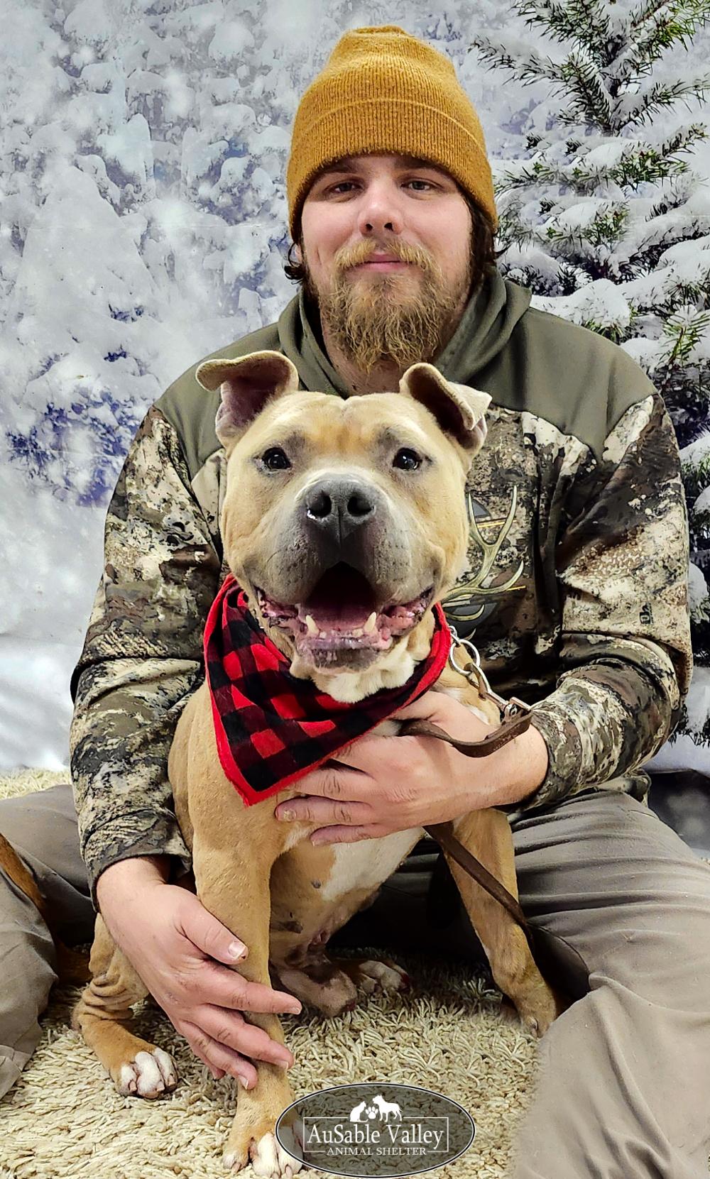 Major, a Adoptable mixed breed in Grayling, MI image 3/6