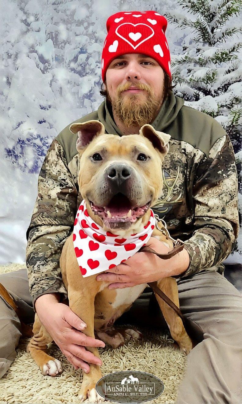 Enlarge Major, a Adoptable mixed breed in Grayling, MI image 2/6