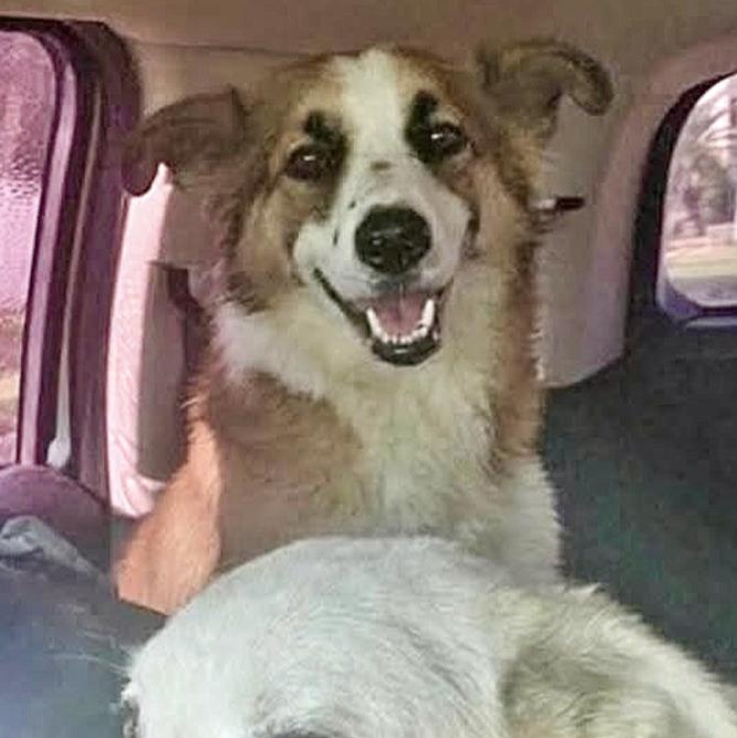 Churho — thumbnail 2