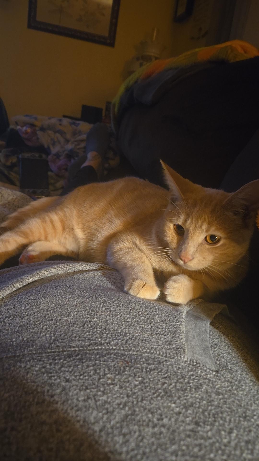 Sam