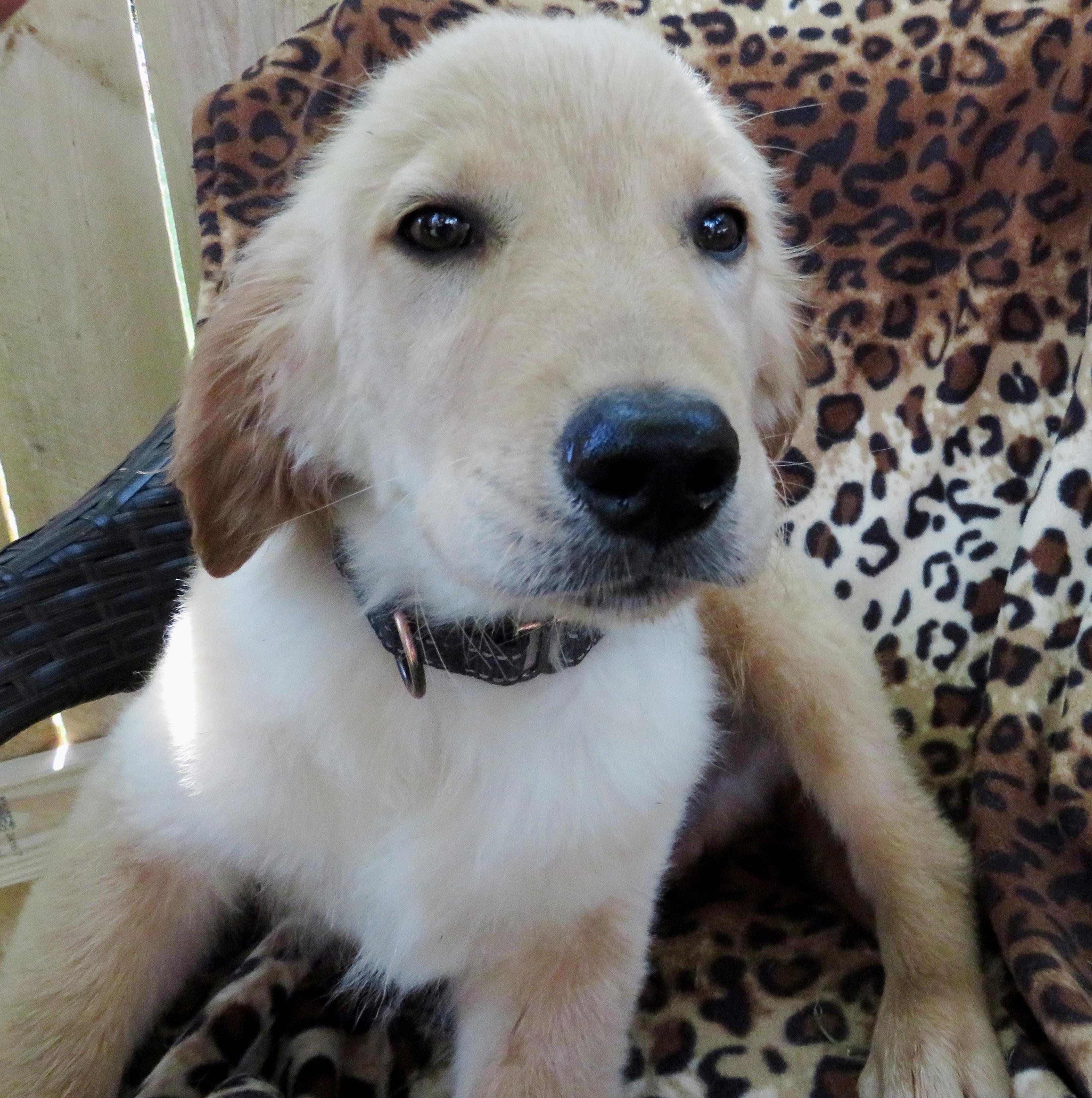 Monty photo 2