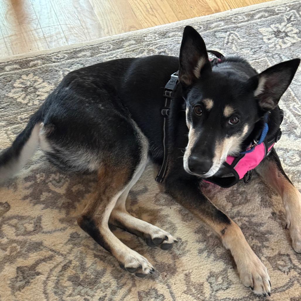 Lucien A — thumbnail 2