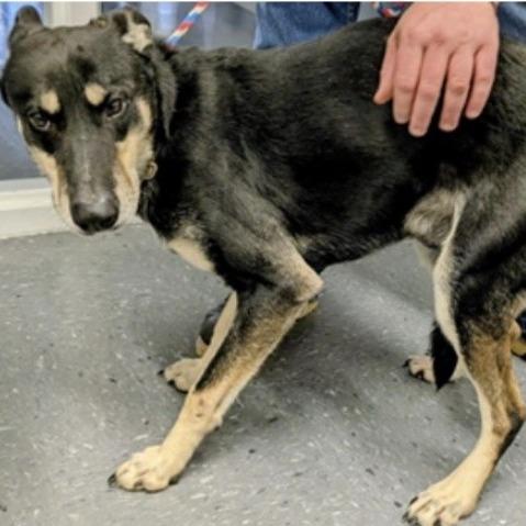 Lucien A — thumbnail 3