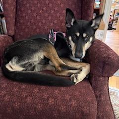 Lucien A — thumbnail 4