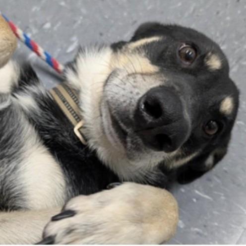 Lucien A — thumbnail 5