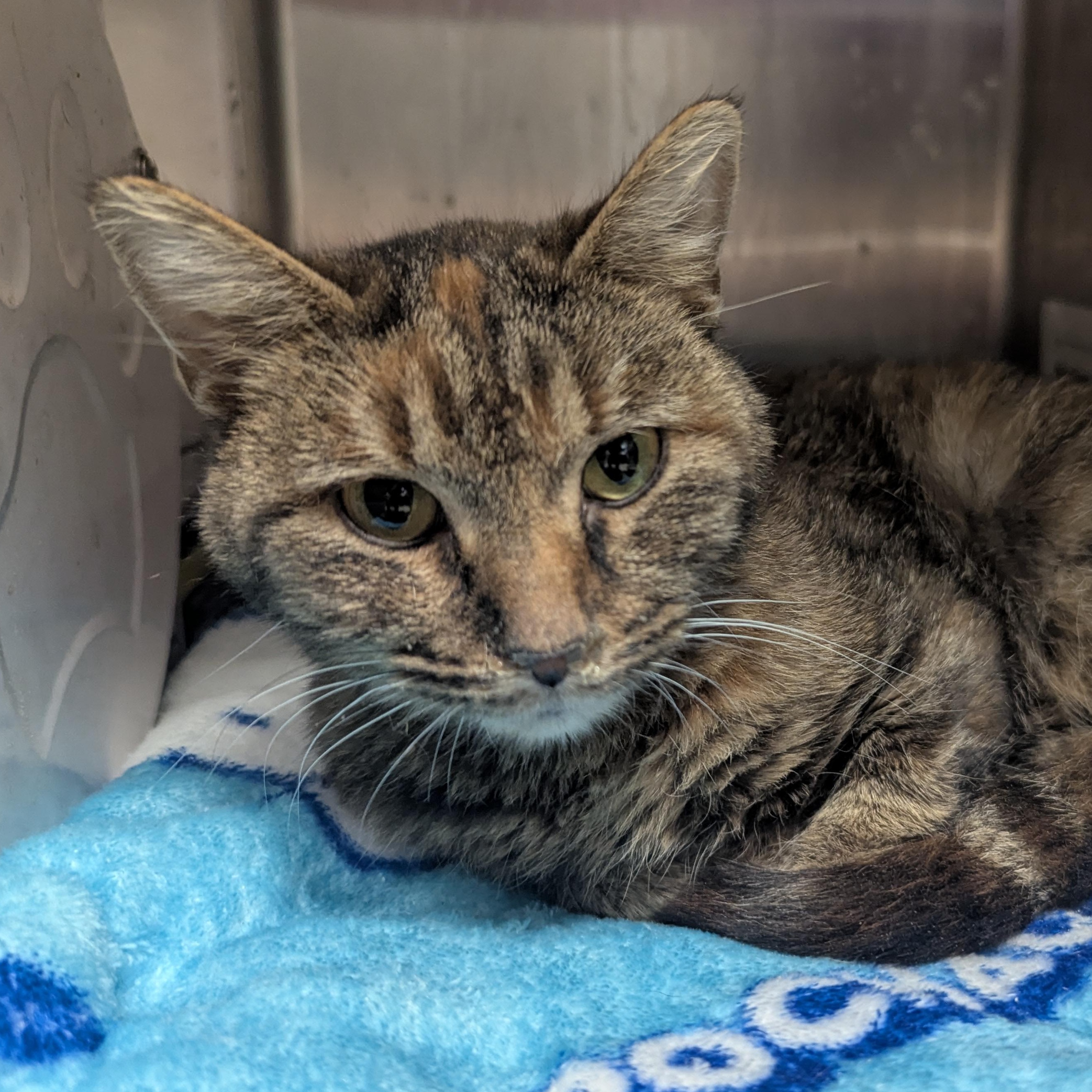 Tight Rope thumbnail 3