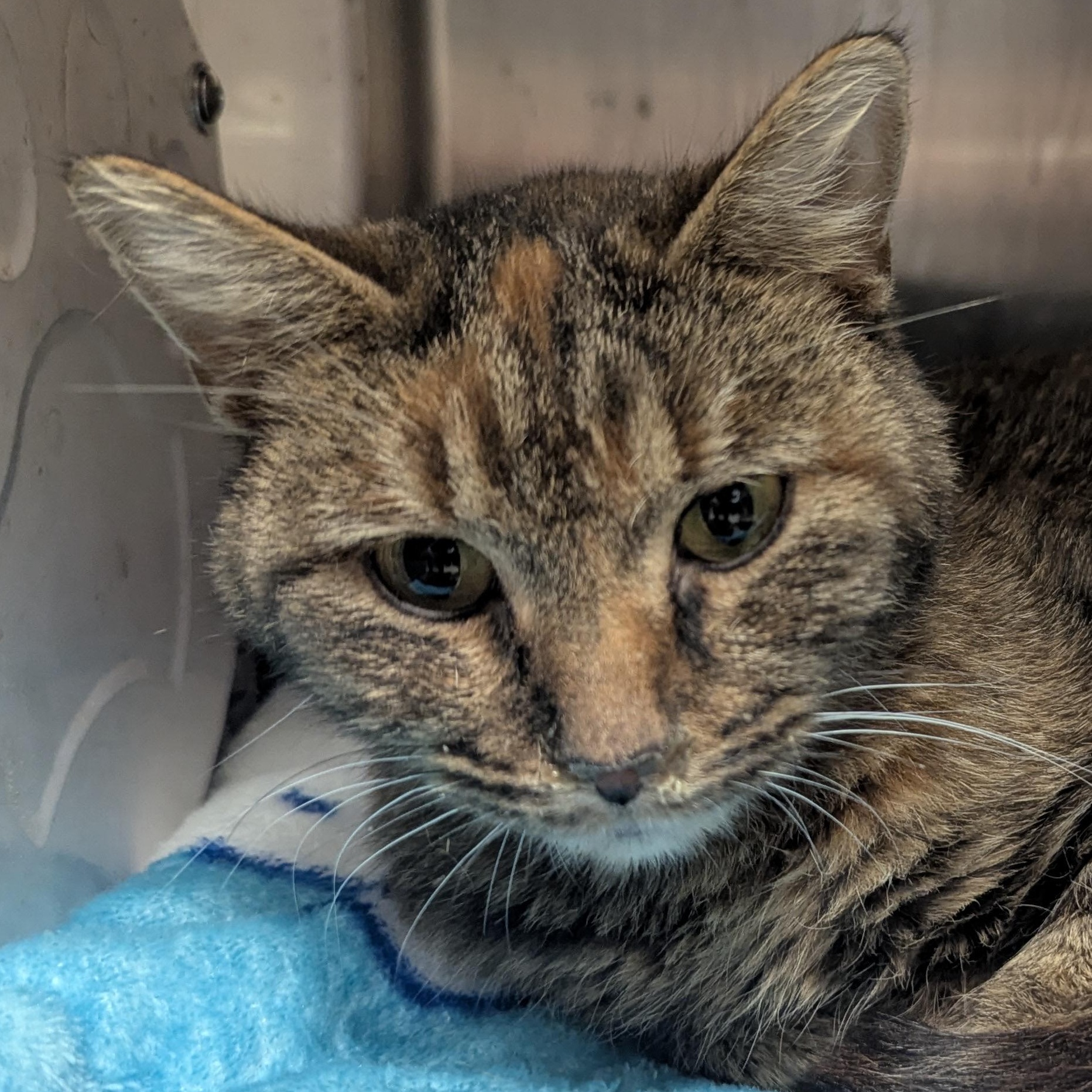 Tight Rope thumbnail 2