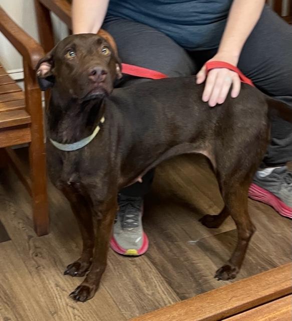 Tiabeinie thumbnail 3