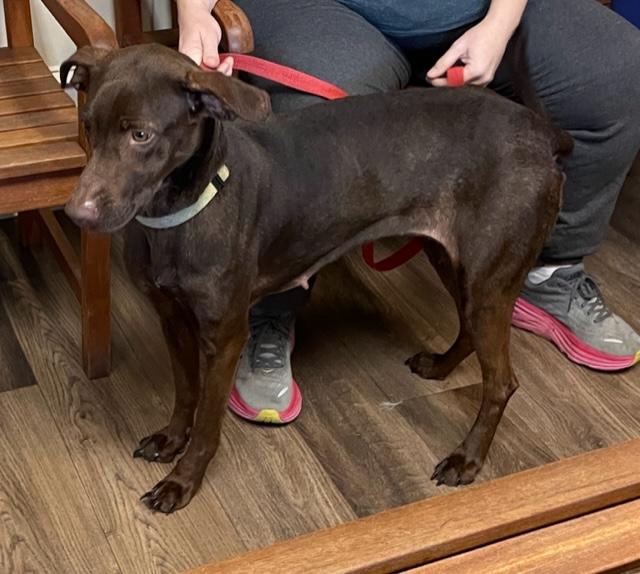 Tiabeinie thumbnail 4