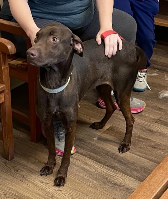 Tiabeinie thumbnail 5