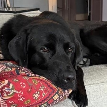 Gus