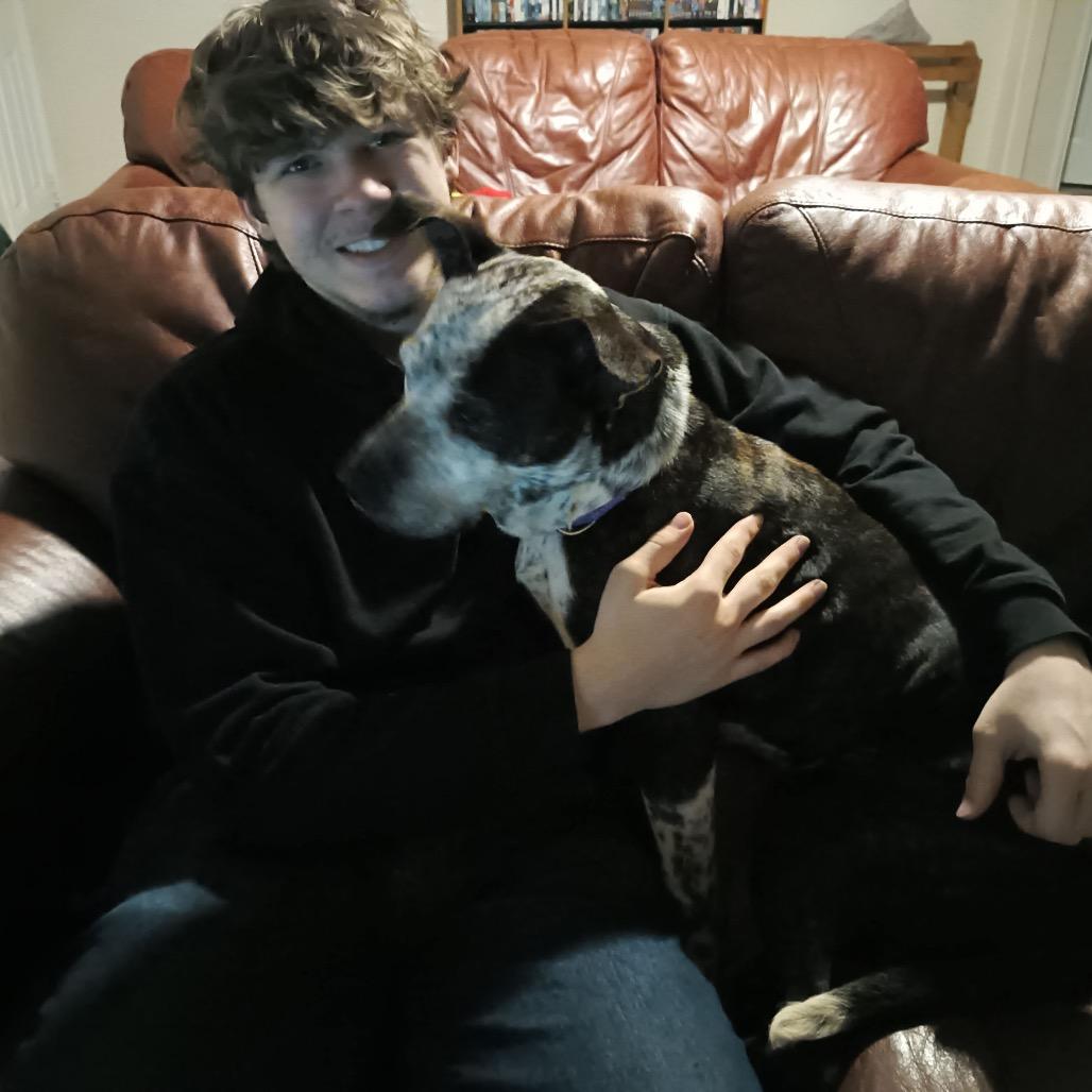 Enlarge Faline, a Adoptable mixed breed in Tomah, WI image 4/6