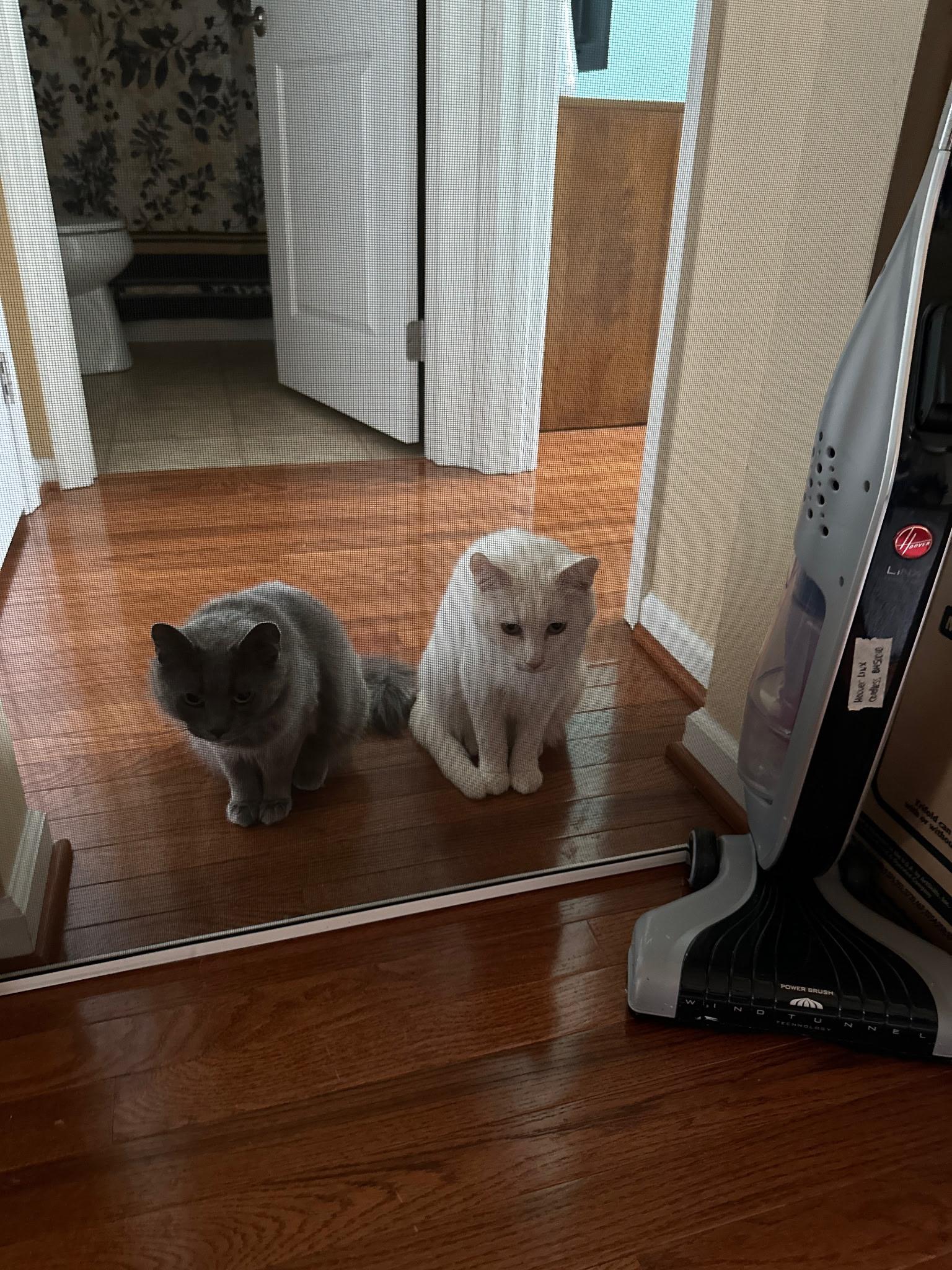 Freya And Sam thumbnail 2