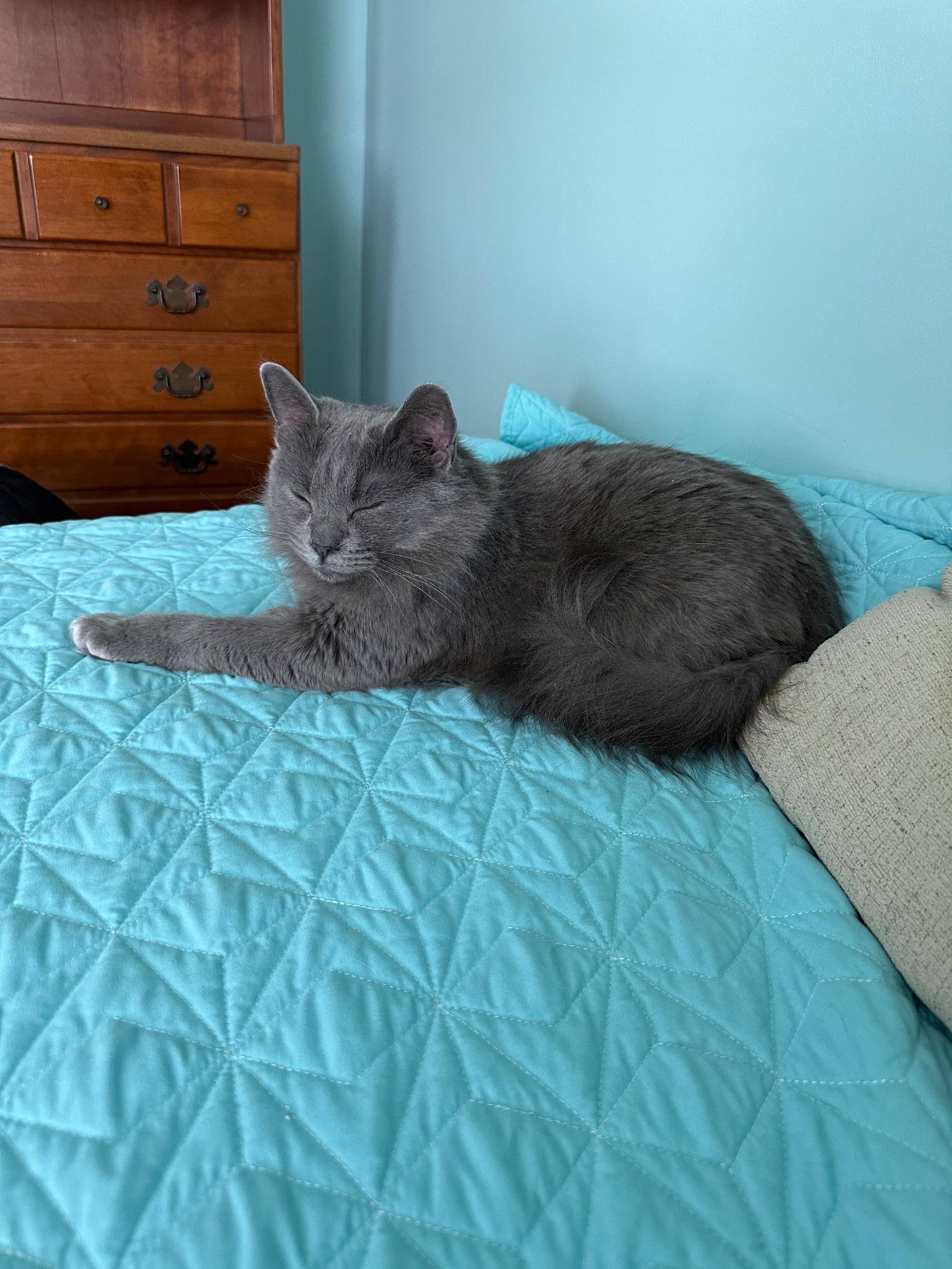 Freya And Sam thumbnail 3