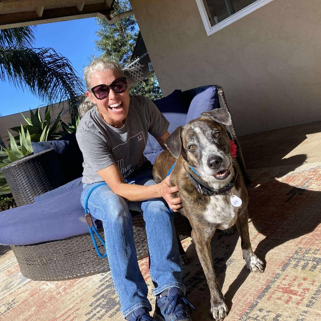 Jill, a Adoptable Labrador Retriever in Ramona, CA image 2/4