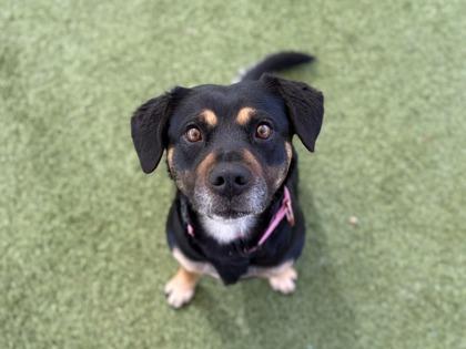 Vivian — thumbnail 2