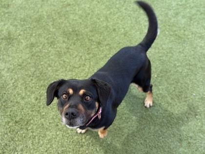 Vivian — thumbnail 3