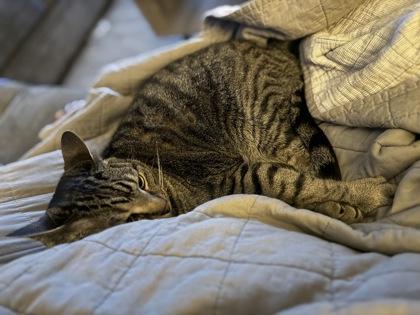 Pluto — thumbnail 2