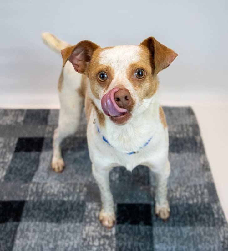 Sean — thumbnail 2