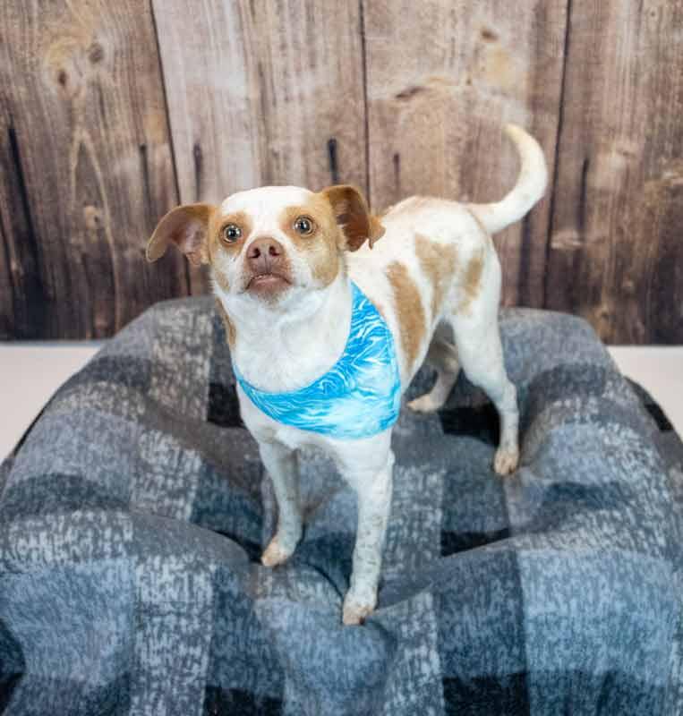 Sean — thumbnail 3