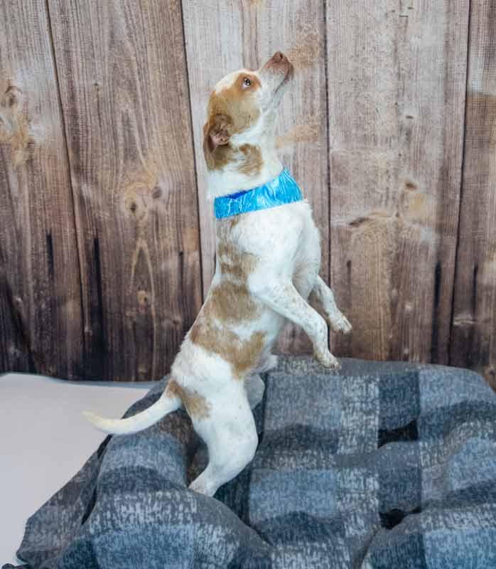 Sean — thumbnail 4