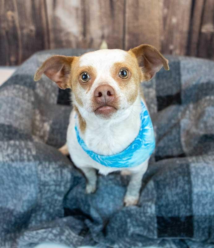 Sean — thumbnail 5