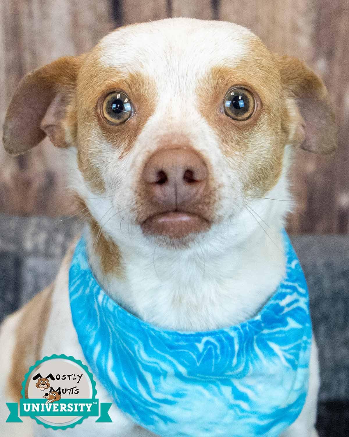 Sean — thumbnail 6