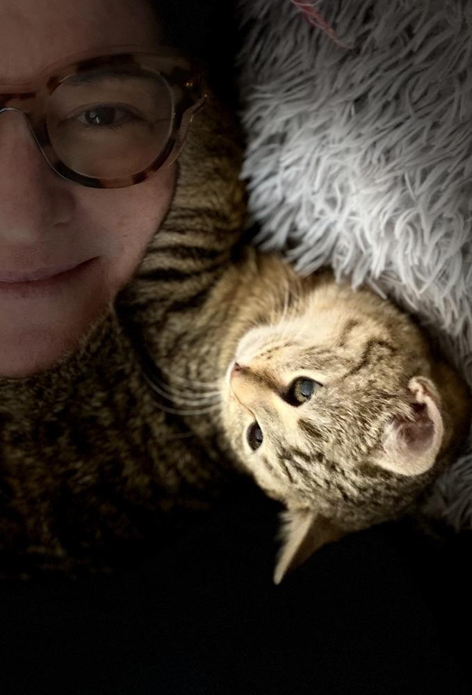 Enlarge Schitt's Creek:  Alexis Rose, a Adoptable mixed breed in Warren, CT image 1/6