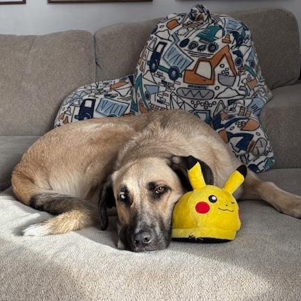 Penny Lane thumbnail 5