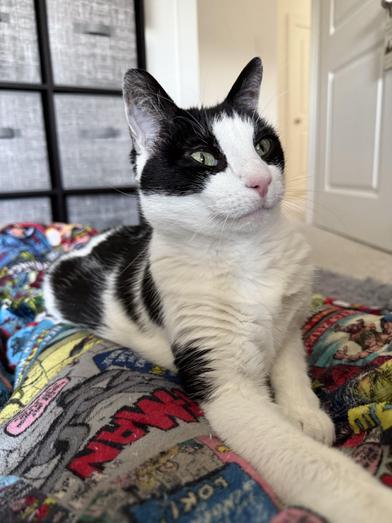 Tali — thumbnail 6